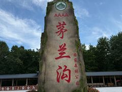 -茅兰沟国家森林公园