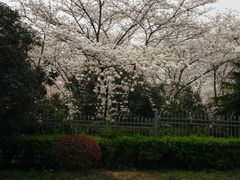 -南京东郊国宾馆