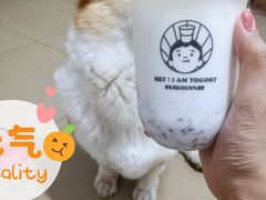 -我是酸奶君(壹方城店)