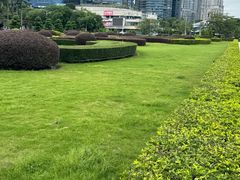 -顺峰山公园