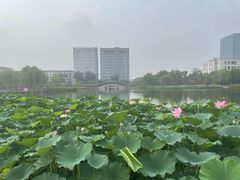 -西海子公园