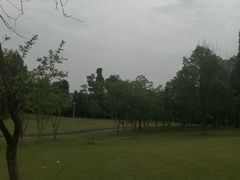 -成都保利公园皇冠假日酒店(熊猫基地店)