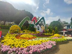 -南山植物园