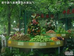 -紫竹院公园冰场