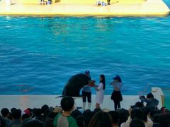 -秦皇岛乐岛海洋王国