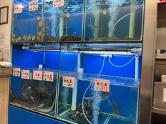 -华峰食馆(氹仔店)