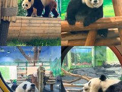 -秦皇岛野生动物园