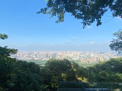 -大蜀山国家森林公园