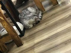 -清真海鲜大排档(原芥园道店)
