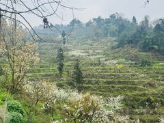 -樱桃山旅游景区