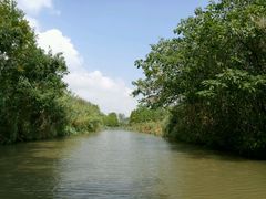 -溱湖国家湿地公园