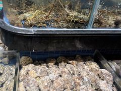 -青蓬蒸汽海鲜·深圳老字号·团建聚会(壹方城店)