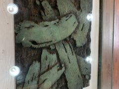 -鼓浪屿国际刻字艺术馆