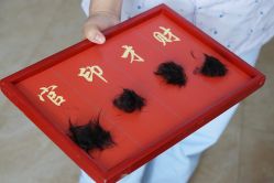 -雪绒花月子会所(祥盛店)