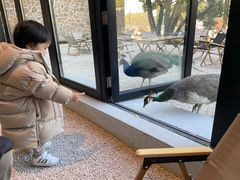 -J Create城市露营咖啡·简餐·宠物(上海动物园店)