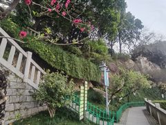 -乌山风景区