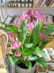 -吾之瑜生瑜伽普拉提学院