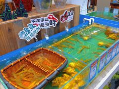 -海鸿荟·沿江菜(中山北路店)