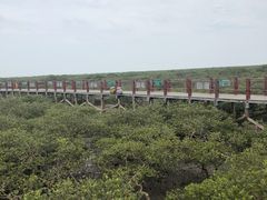 -北海金海湾红树林生态旅游区