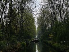 -合肥滨湖国家森林公园