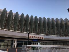 -奥体中心游泳馆