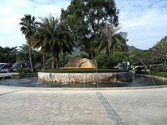 -飞来湖湿地公园