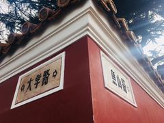 -大学路8号炸串(大学路十四号院店)