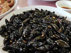 -大湾区中央湿地公园-十九涌
