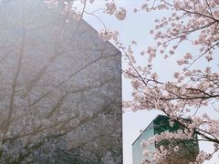 -龙美术馆(西岸馆)