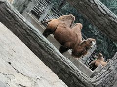 -昆明动物园