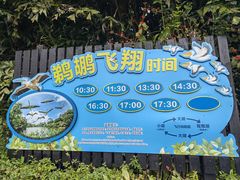 -广州长隆野生动物世界