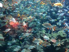 -成都浩海立方海洋公园