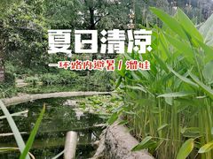-成都市活水公园