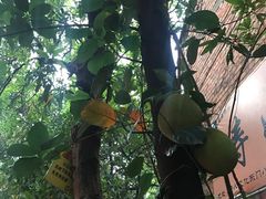 -一品牛鲜潮汕牛肉火锅(茶花园店)