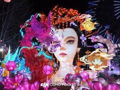 -淄博花灯齐彩城
