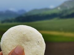 -新疆那拉提国家旅游度假区