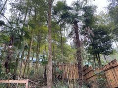 -花水湾第一村温泉大酒店