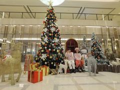 -彩丰楼·中餐厅(国家会展中心上海洲际店)