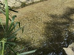 -海窝子古镇