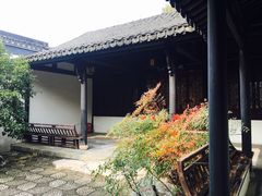 -金庸书院