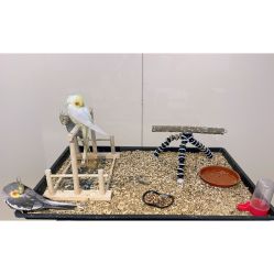 -Moni星球萌宠·小马宝莉·灵蛇·高端高阶全萌宠互动体验俱乐部(红豆国际广场店)