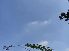 -三餐乐(执信南路店)