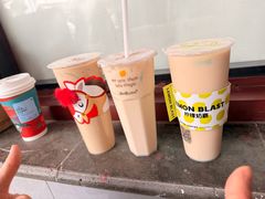 -猫的魔法密林(衣裳街店)