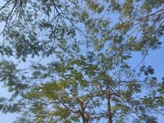 -白石龙音乐公园