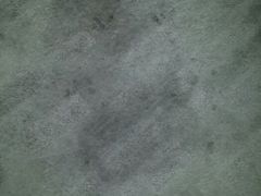 肮脏的地毯-北京拉斐特城堡酒店