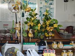 -苏州市吴中区光福窑上花果蜜饯厂