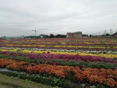 -中国天府农业博览园