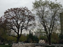 -木塔寺遗址生态公园