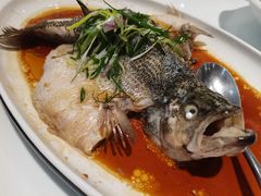 -至潮餐厅精致粤菜·活鲈鱼·走地鸡(珠江新城店)