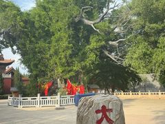 -大槐树寻根祭祖园